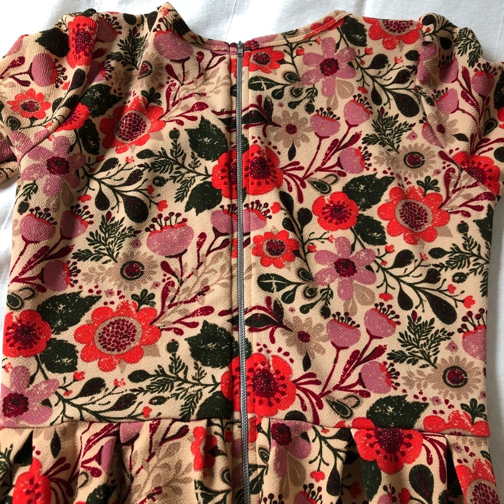 LuLaRoe Amelia L RARE HTF floral fit & flare BNWOT - Picture 5 of 8